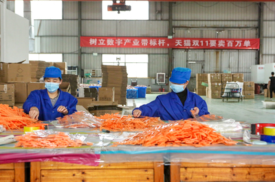 賣空了!天貓雙11首日產(chǎn)業(yè)帶商家?guī)齑娓婕?今年太刺激